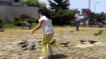 Zonguldak'ta sokağa çıkan çocuklar güvercinleri besledi