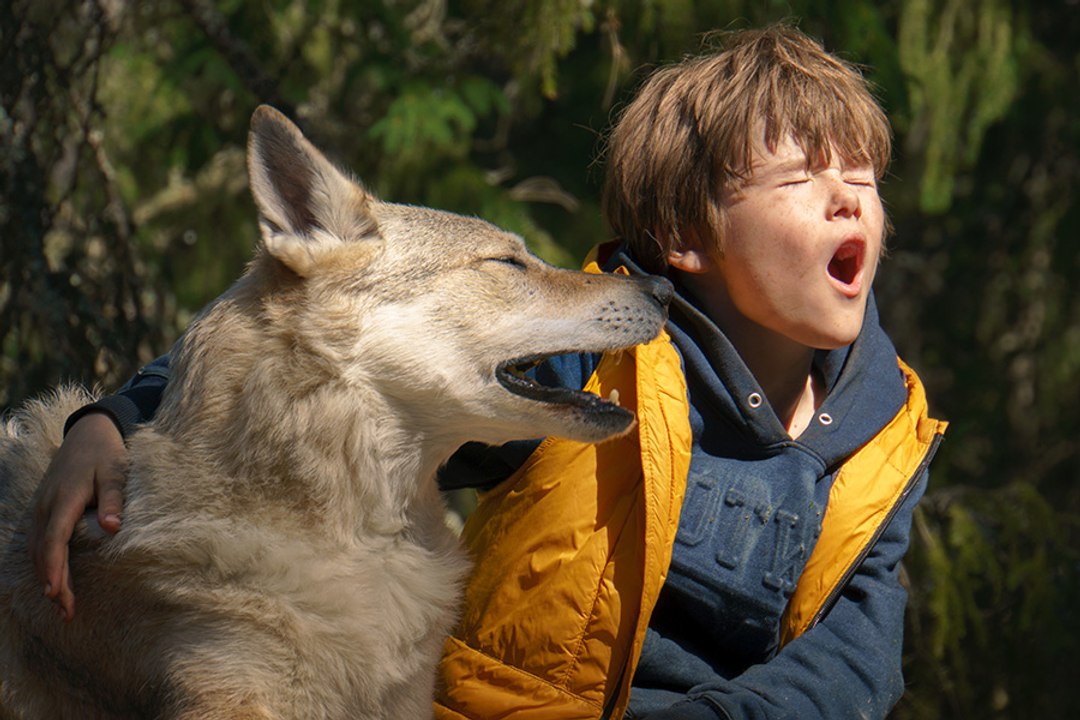 Bruno bei den Wölfen Film