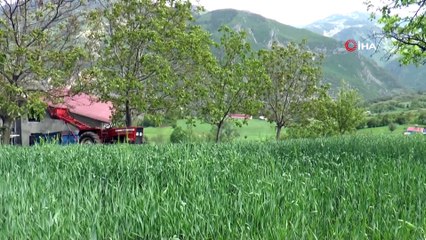 'Artvin buğdayı’ coğrafi işaret yolunda