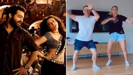 David Warner Wishes Jr.NTR On His Birthday By Dancing 'Pakka Local' Song