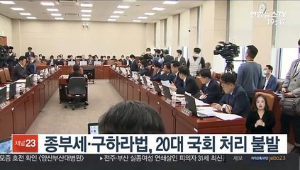 종부세·구하라법, 20대 국회 처리 불발