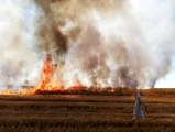 YPG/PKK Deyrizor'da sivillerin tarım arazilerini yaktı