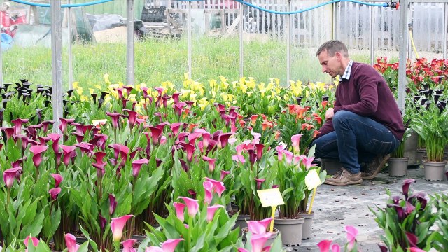 Brighter Blooms takes part in virtual Chelsea