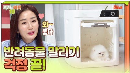 씻기기보다 힘든 반려동물 말리기, 이 제품 하나로 행복 찾으세요!