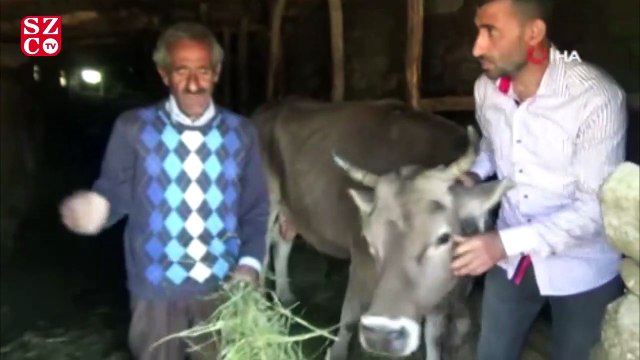 Bataklığa saplanan hayvanına kavuşan Atasoy’un mutluluğu