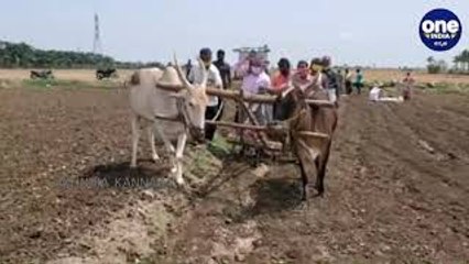 ಹೊನ್ನಾಳಿಯಲ್ಲಿ ಹೊಲ ಉತ್ತು ನಂತರ ಸೋಂಕಿತರಿಗೂ ನೆರವಾದ ರೇಣುಕಾಚಾರ್ಯ | Renukacharya