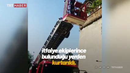 İtfaiyecilerin kurtardığı serçe "can suyu" ile yaşama tutundu