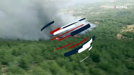 Muğla'da orman yangını