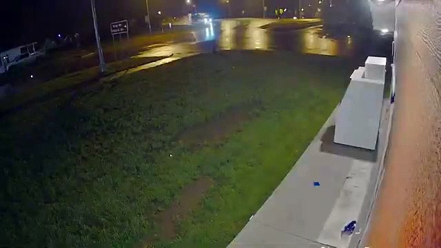 Un camion se renverse avec son chargement de vaches