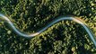 German Forest||Beautiful Aerial View||Green Life||Beautiful Scene