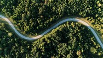 German Forest||Beautiful Aerial View||Green Life||Beautiful Scene