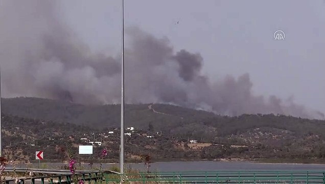 Milas'ta orman yangını (3) - MUĞLA