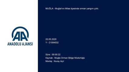 Milas'ta orman yangını - MUĞLA