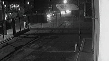 Vídeo mostra acidente que vitimou Anaclara Prasziewski no Centro de Cascavel