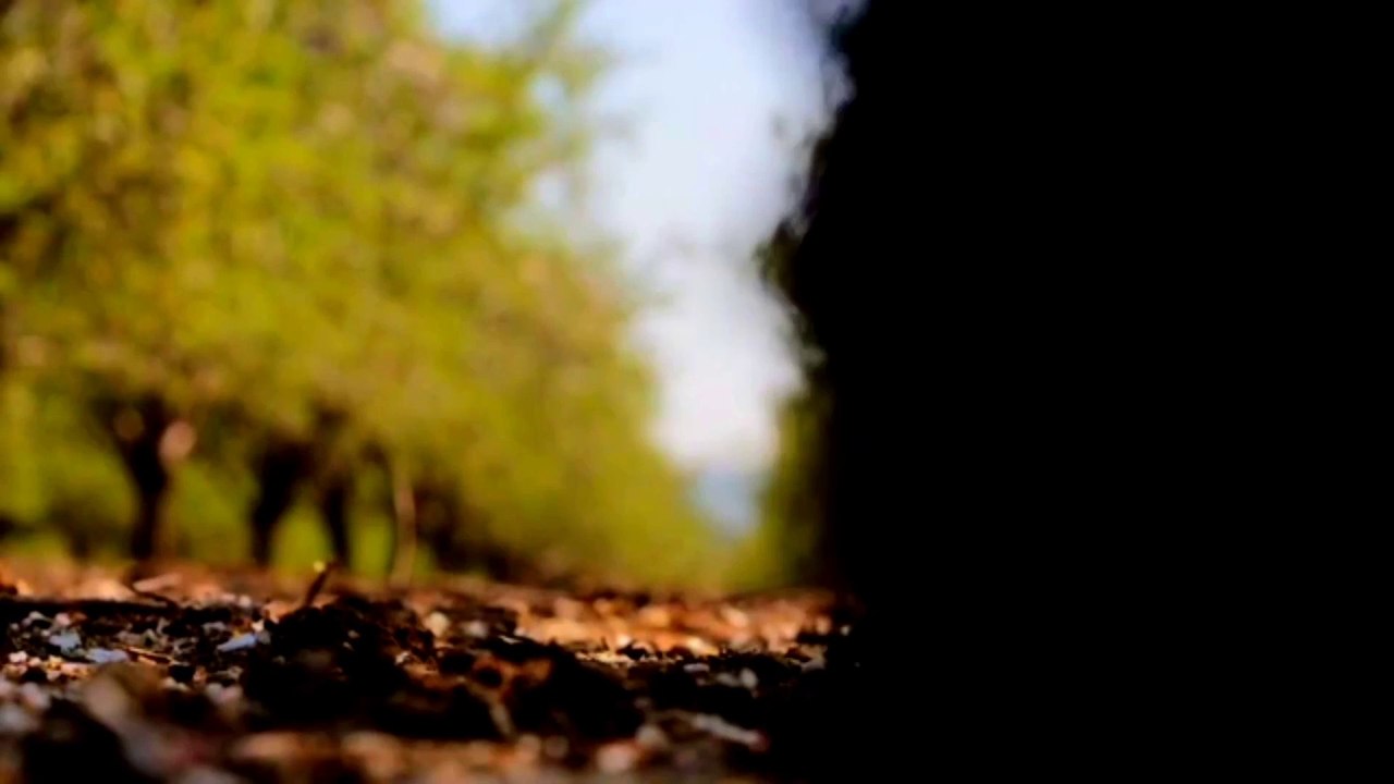 Brain। amazing facts। Brain facts। interesting facts।