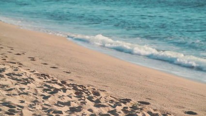 Saphal Aur Sarthak Jivan, सफल और सार्थक जीवन क्या होता है