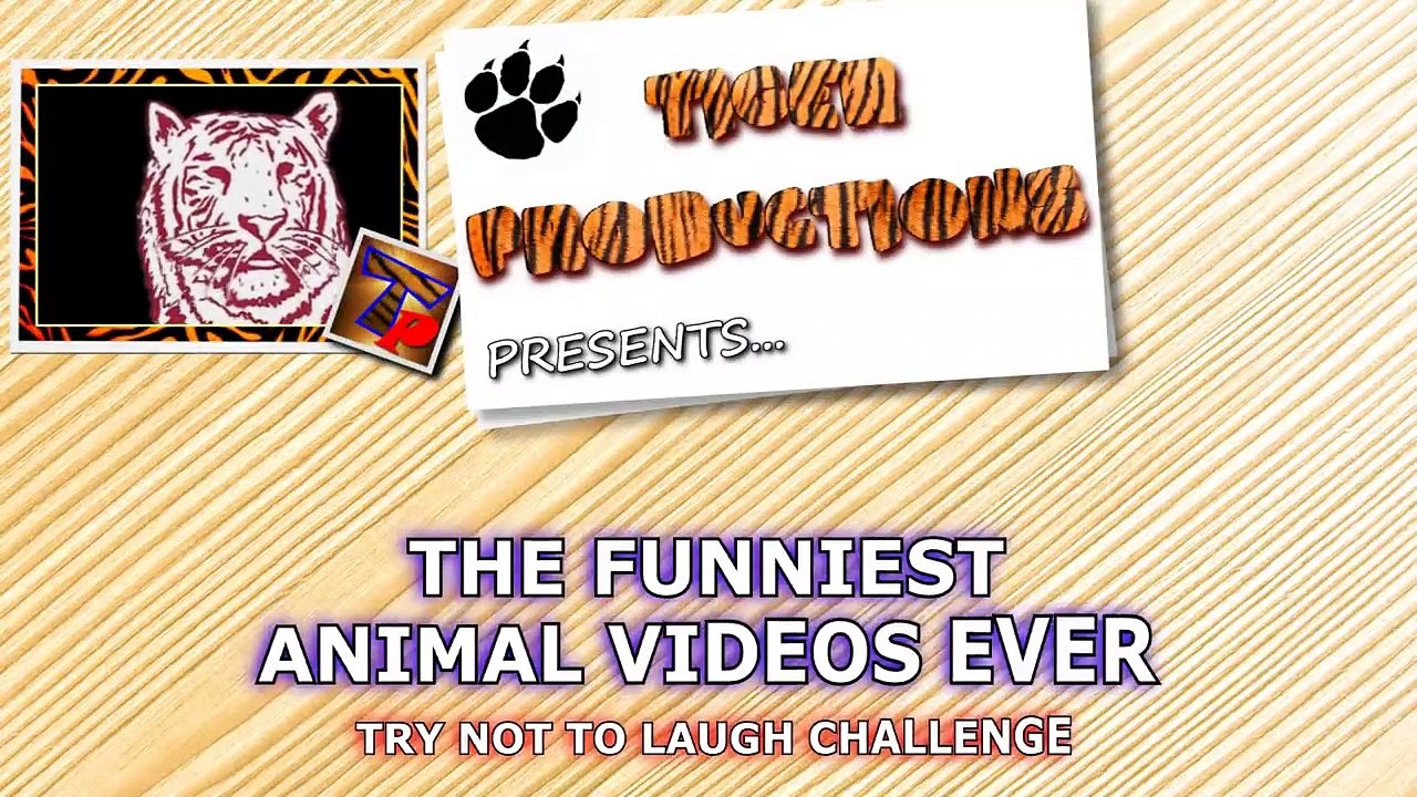 Super HARD TRY NOT TO LAUGH CHALLENGE - Funny ANIMAL compilation