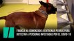 Francia ha comenzado a entrenar perros para detectar a personas infectadas por el covid-19