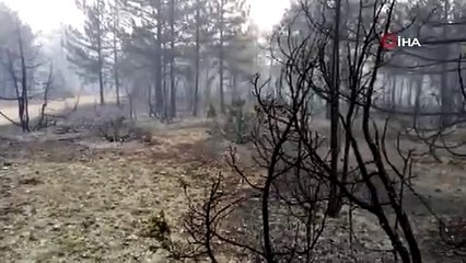 Kütahya'da orman yangını