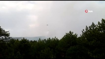 Kütahya'da orman yangını