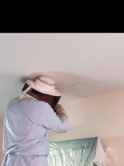 Un bruit provient du plafond, regardez ce qu'ils y ont trouvé