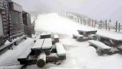[날씨] 여름 문턱에 설악산 함박눈...올봄 '끝눈'될 듯 / YTN