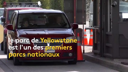 États-Unis : le parc national de Yellowstone a rouvert