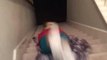 Girl Slides Down Stairs On Blanket When Dinner Time is Announced