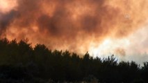 Milas'ta orman yangını (6) - MUĞLA