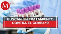Cofepris autoriza tres pruebas serológicas para evaluar inmunidad a coronavirus