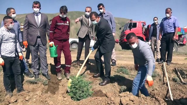 Sağlık çalışanları için 2 bin 365 fidan dikildi - HAKKARİ