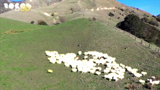 Hardwired Hound! ‘Spot’ the Robot Sheepdog Could Be the Future of Farming!