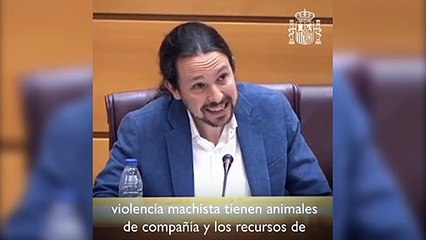Iglesias dice que muchas mujeres no dejan la casa de su maltratador por no abandonar a su perro