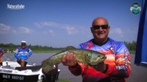 Liga Argentina Señuelera, competencia de pesca. Muchas Tarariras en Granadero Baigorria