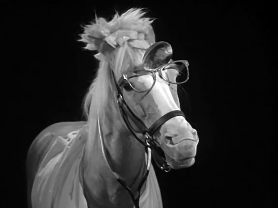 Mr. Ed - 077. Der beste Doktor weit und breit