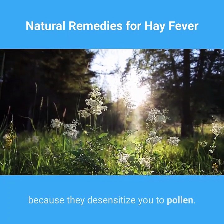 natural-remedies-for-hay-fever
