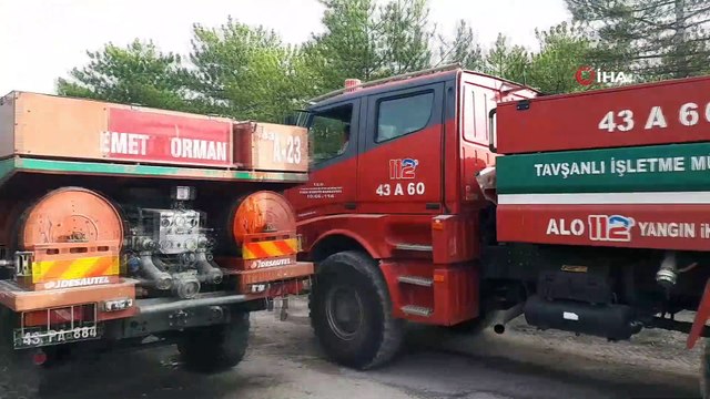 Kütahya'daki orman yangınında 50 hektarlık alan zarar gördü