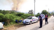 Milas'ta orman yangını (8) - MUĞLA