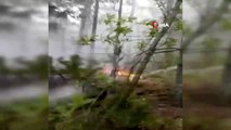 Kütahya'daki orman yangınında 50 hektarlık alan zarar gördü