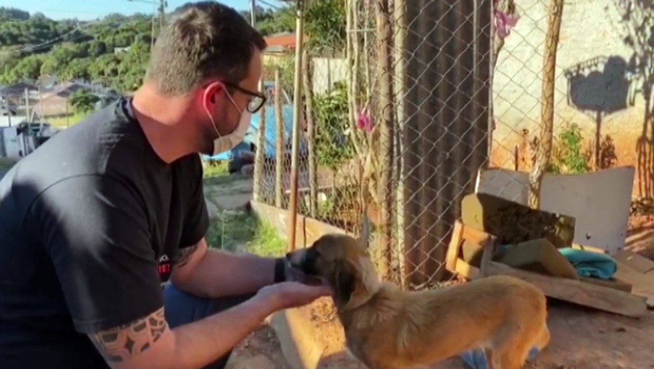 Cachorrinha que vivia com 'meio metro de corda' é resgatada pela Delegacia de Proteção ao Meio Ambiente