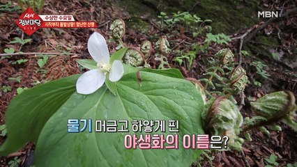 산행 중 발견한 물기 머금고 하얗게 핀 야생화!