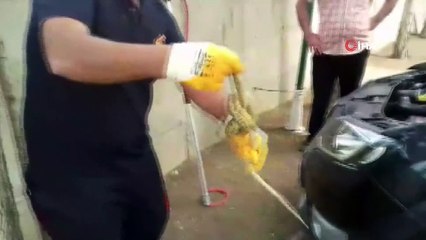 Otomobilin motor kısmına giren yılan korkuttu