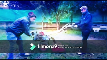 YTP calabrese incazzato