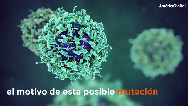 Más semanas de recuperación y más tiempo para desarrollar síntomas: ¿el COVID-19 está mutando?