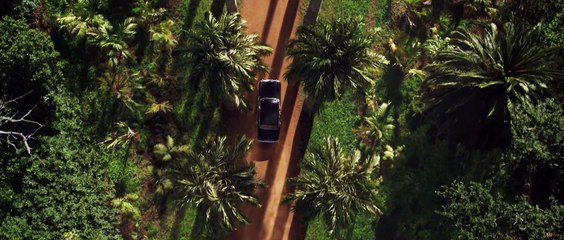 Palmeras en la nieve - Tráiler