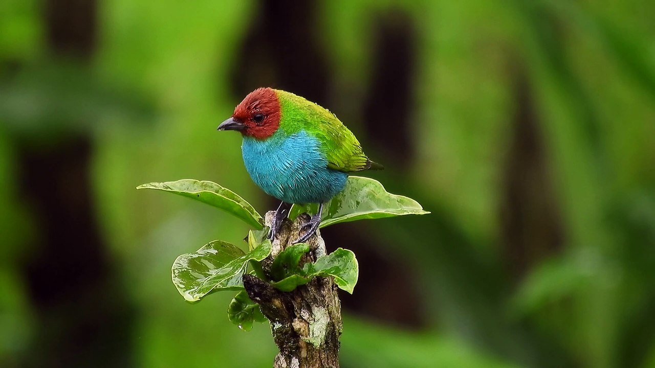 Nature