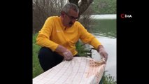 Mahsur kalan 7 yaban ördeği yavrusunu belediye başkanı kurtardı