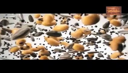 مسلسل فرصة ثانية حلقة 181 اليوم الاربعاء كاملة - F(360P)