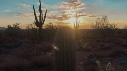 Everything You Need to See, Do, and Eat on an Arizona Road Trip