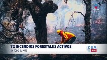 Registran 72 incendios forestales activos en todo México